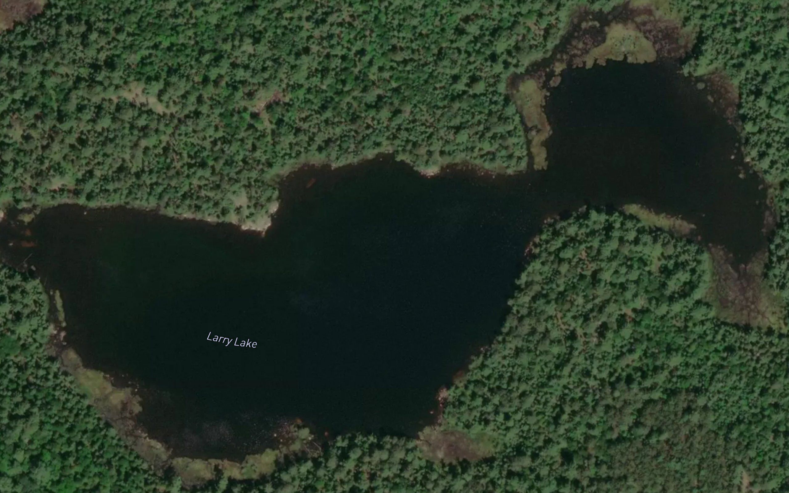 Larry Lake