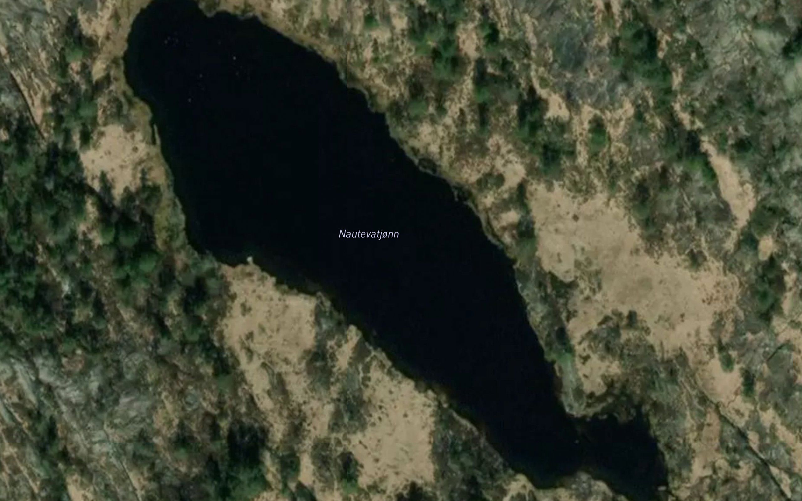Nautevatjonn