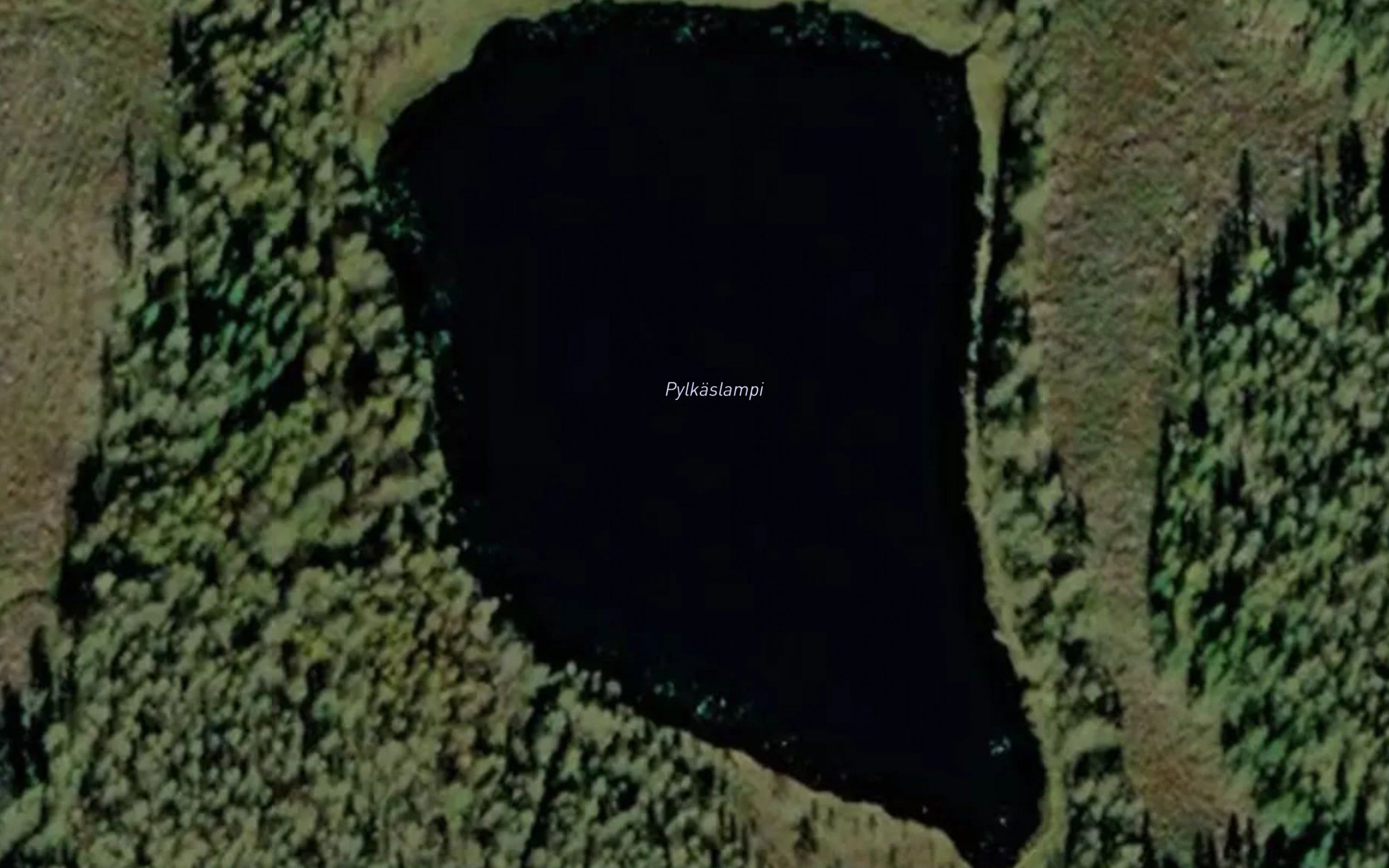 Pylkaslampi