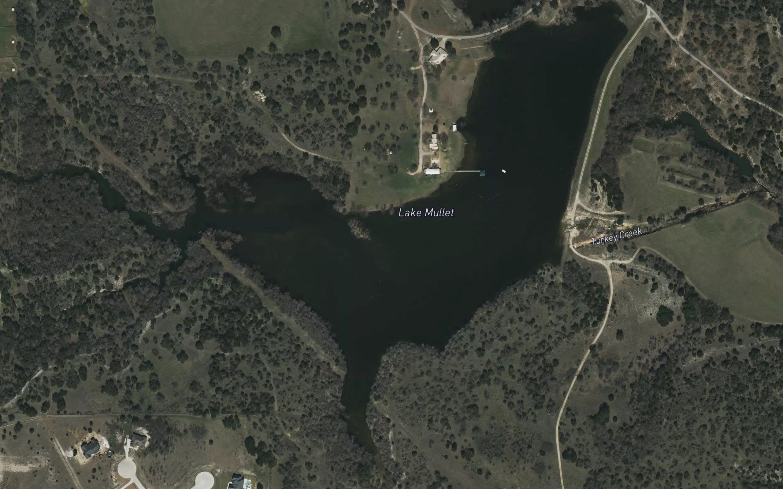Lake Mullet