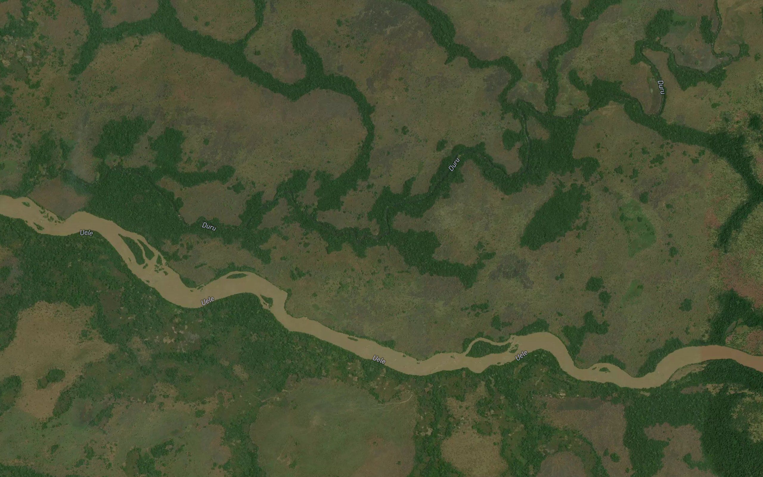 Mukungu