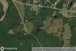 Dejarnetts Pond