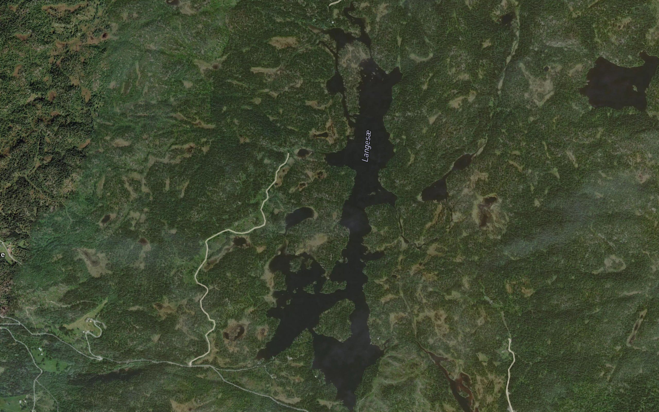 Langesae