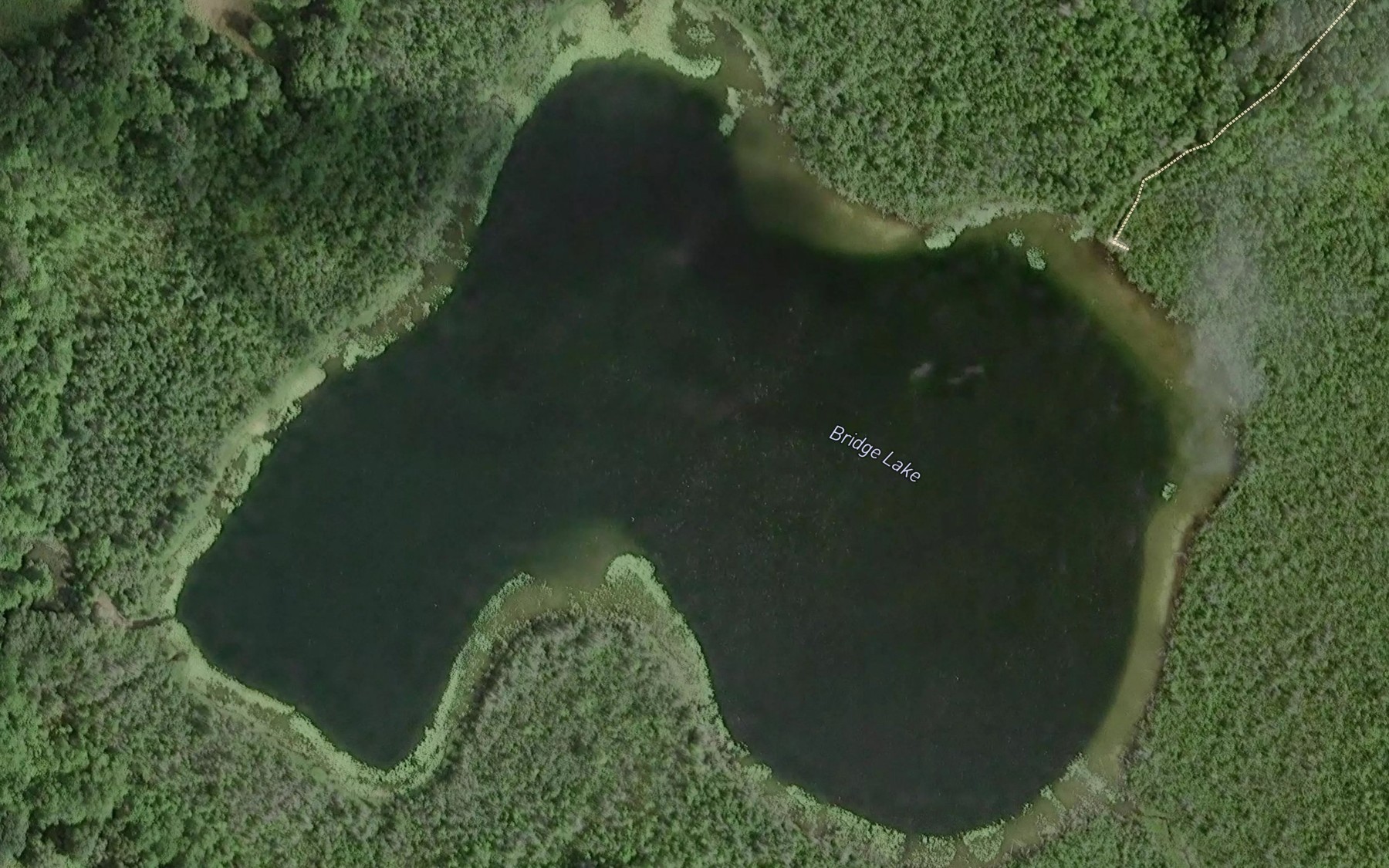 Satellite map of the Bridge Lake