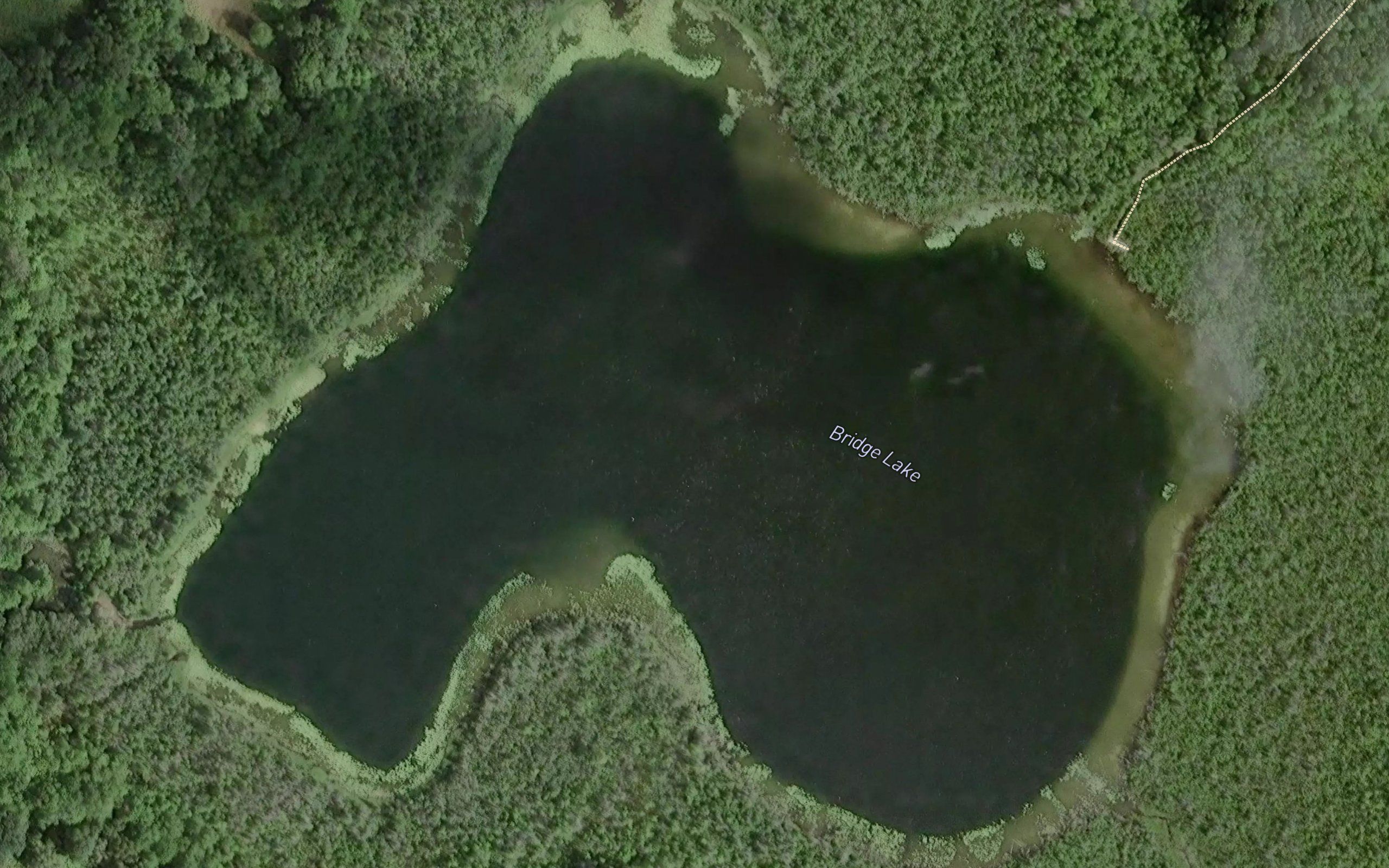 Bridge Lake