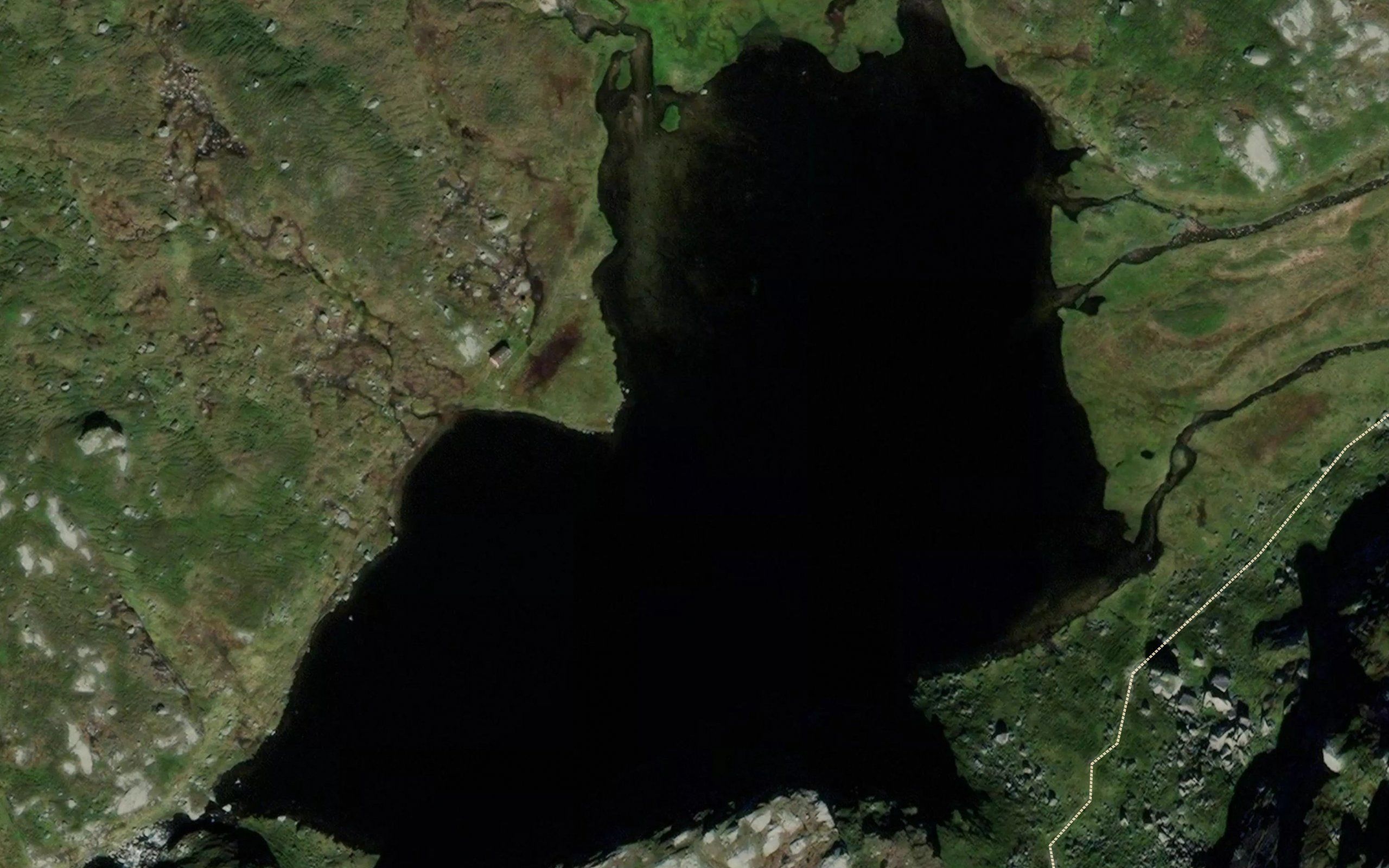 Steggjatjorna