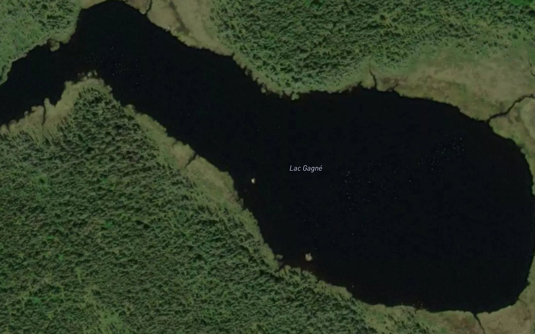 Satellite map of the Lac Gagne