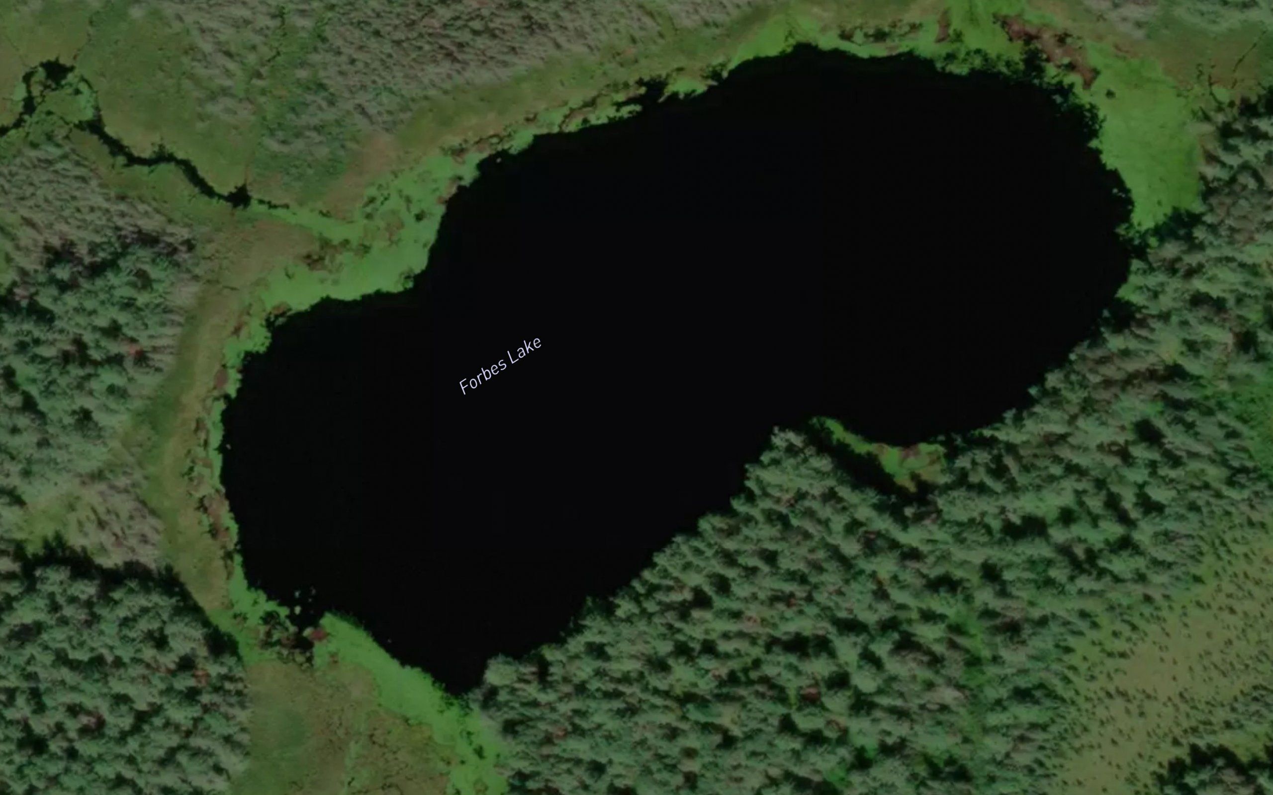 Forbes Lake