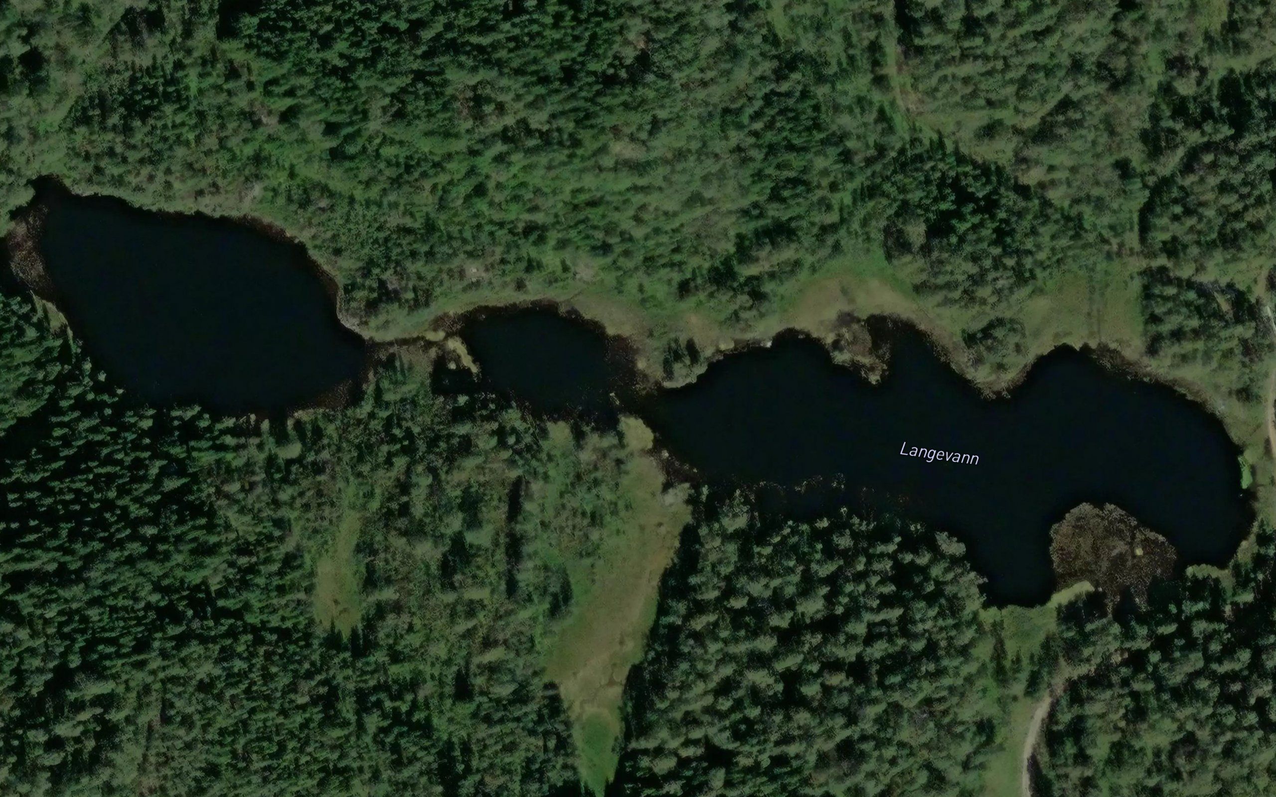 Langevann