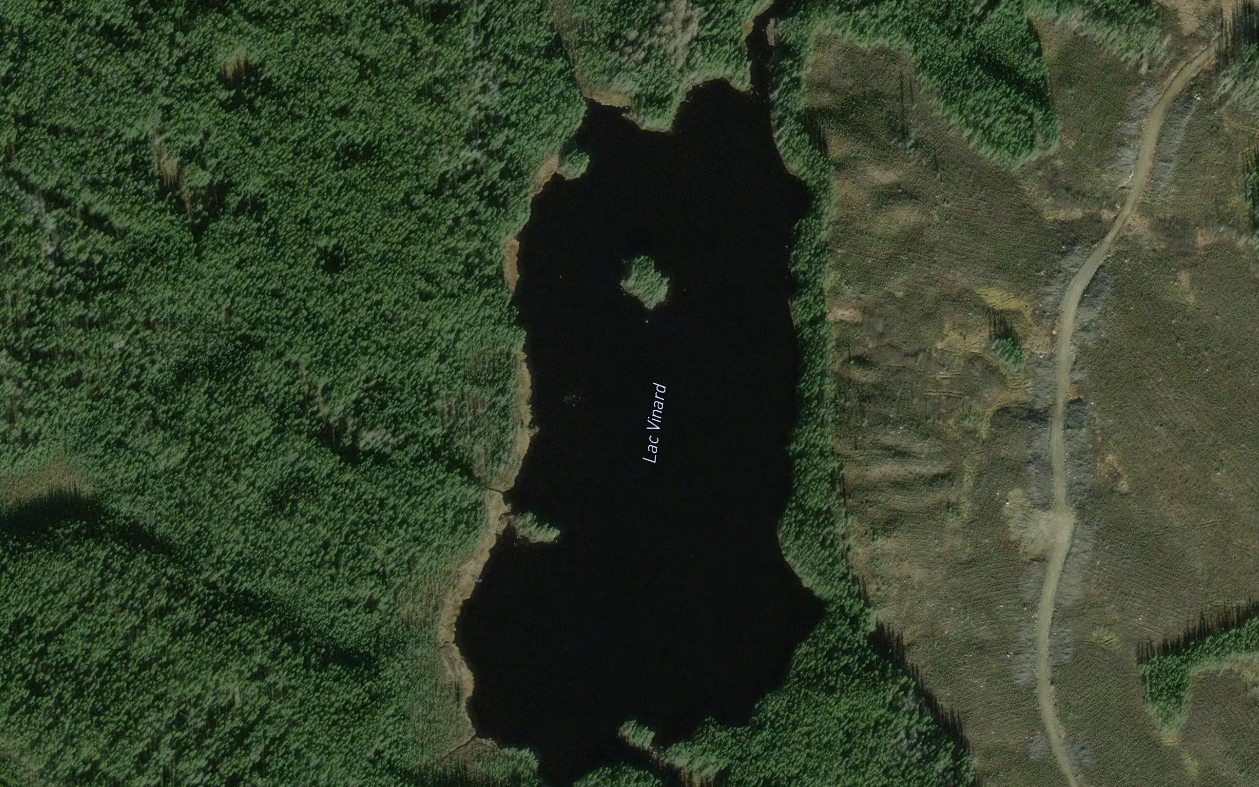 Lac Vinard
