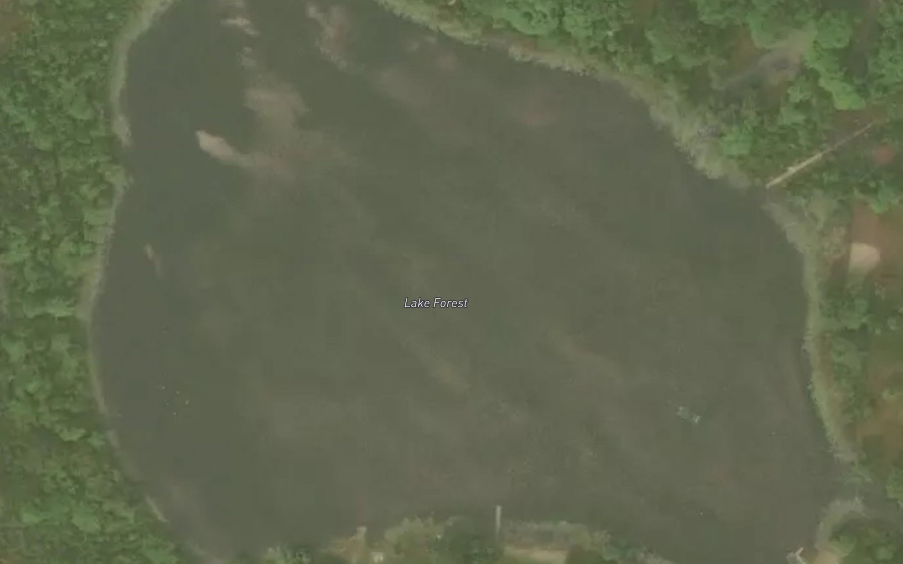 Satellite map of the Lake Forest