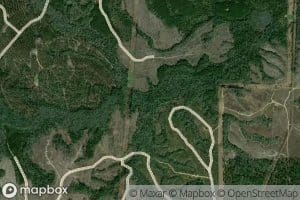 South Fork Borrow Creek