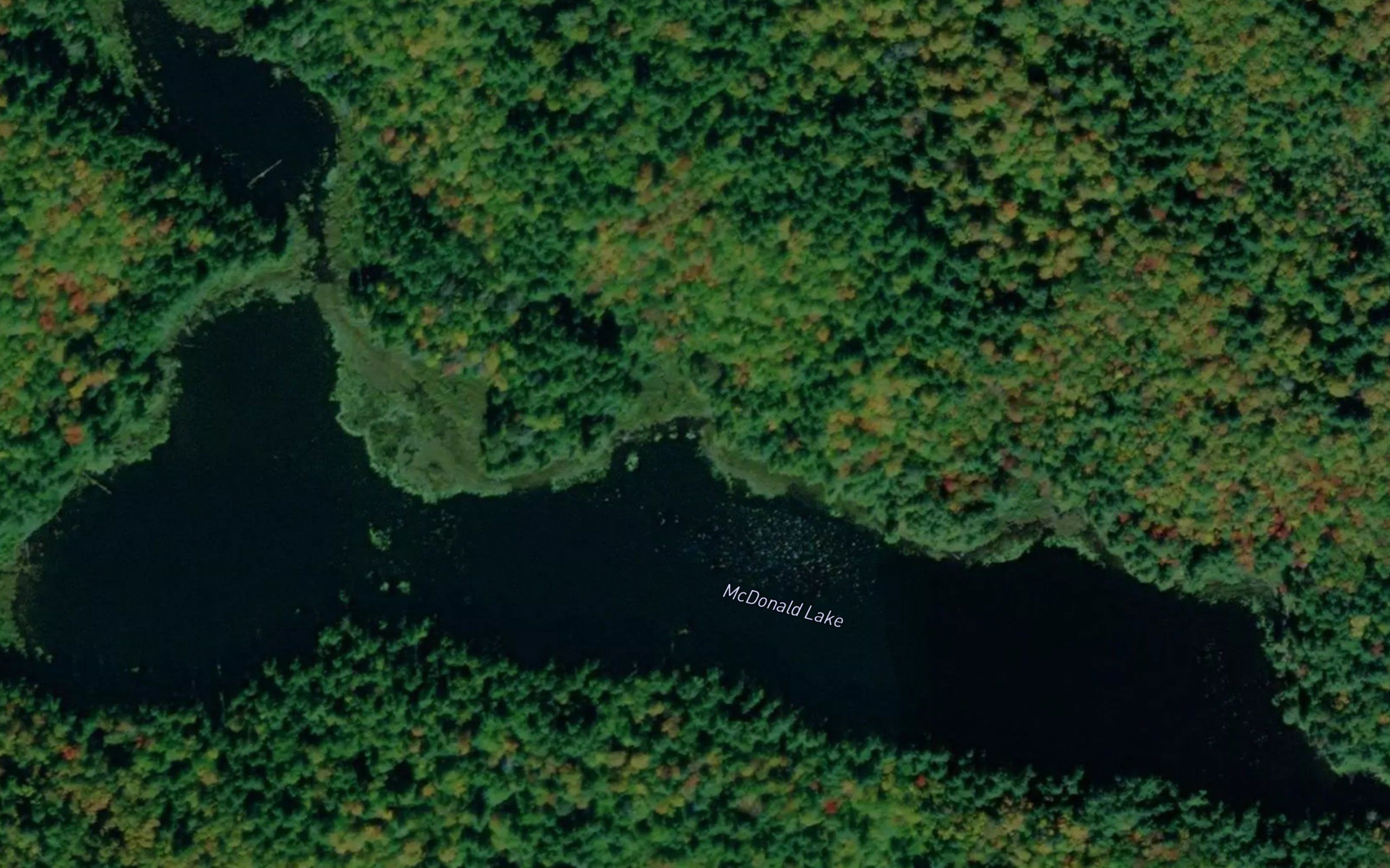 McDonald Lake