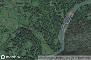 Duckling Creek
