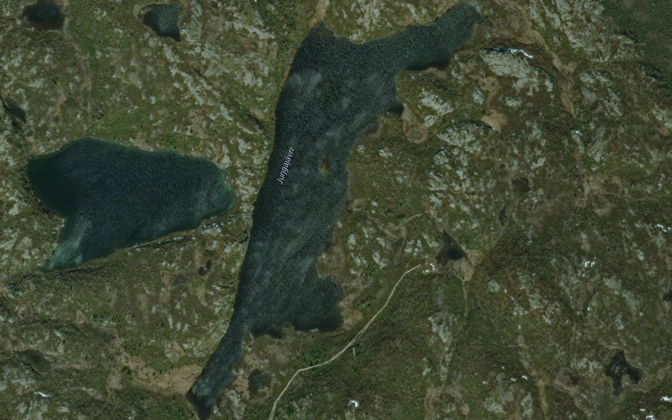 Jungajavri