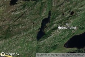 Gamstjorna