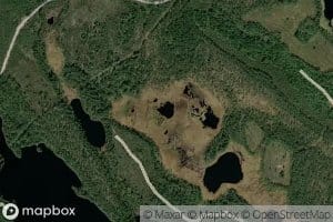 Haukilammit