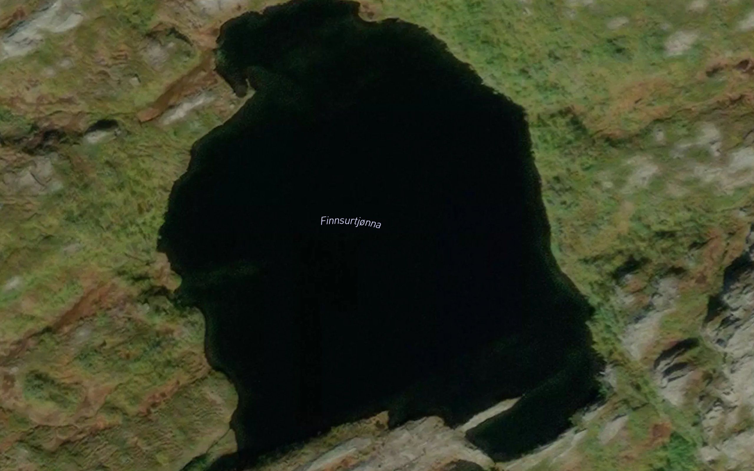 Finnsurtjonna