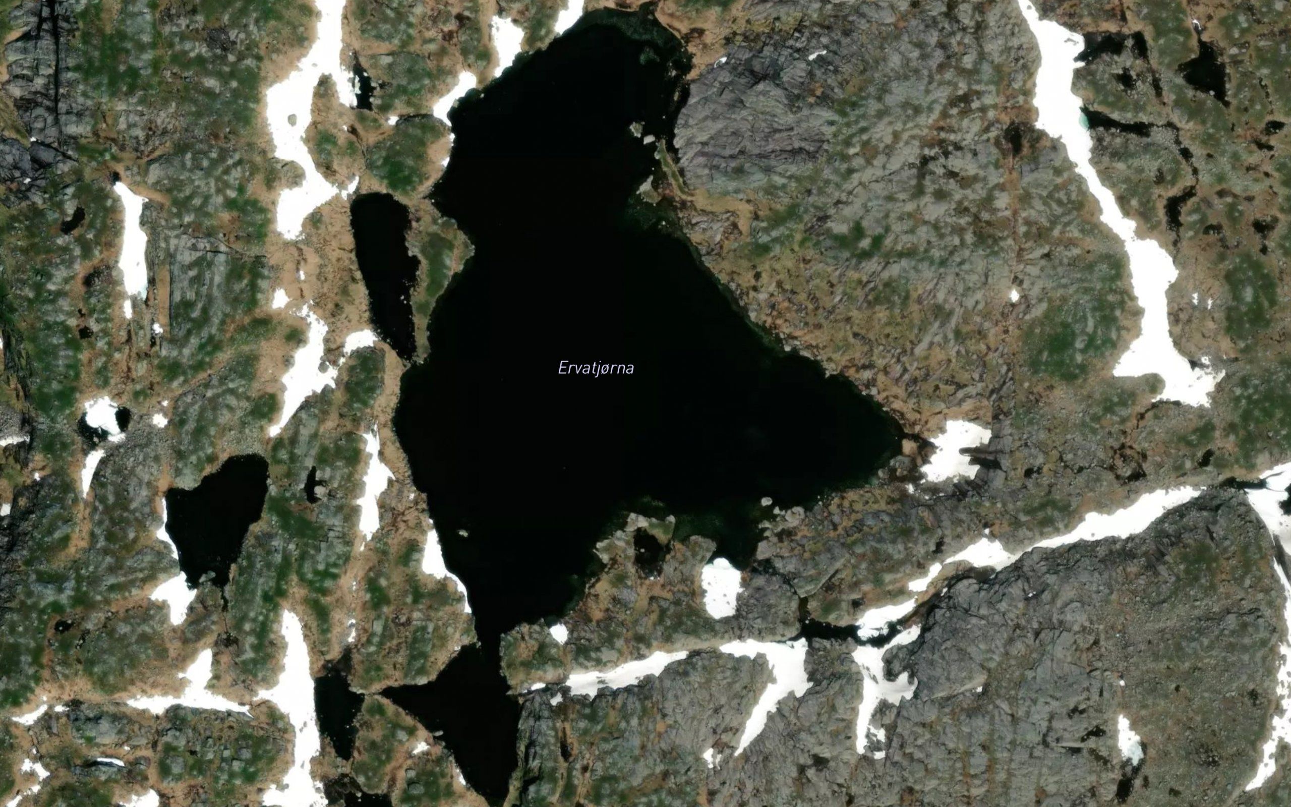 Ervatjorna