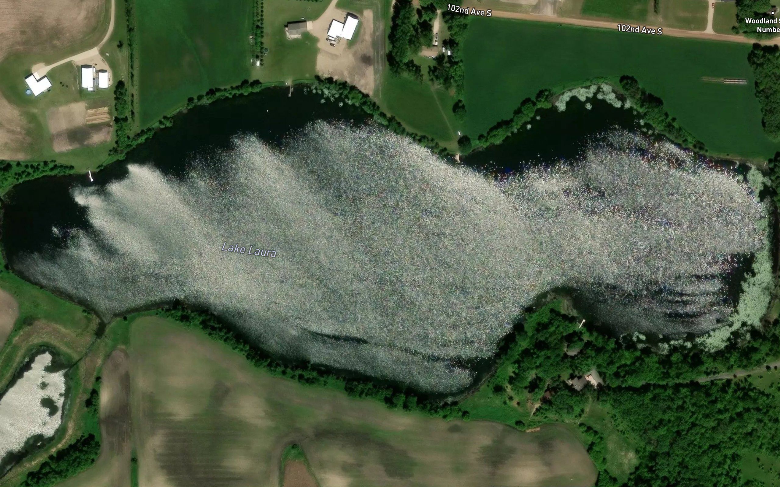 Lake Laura