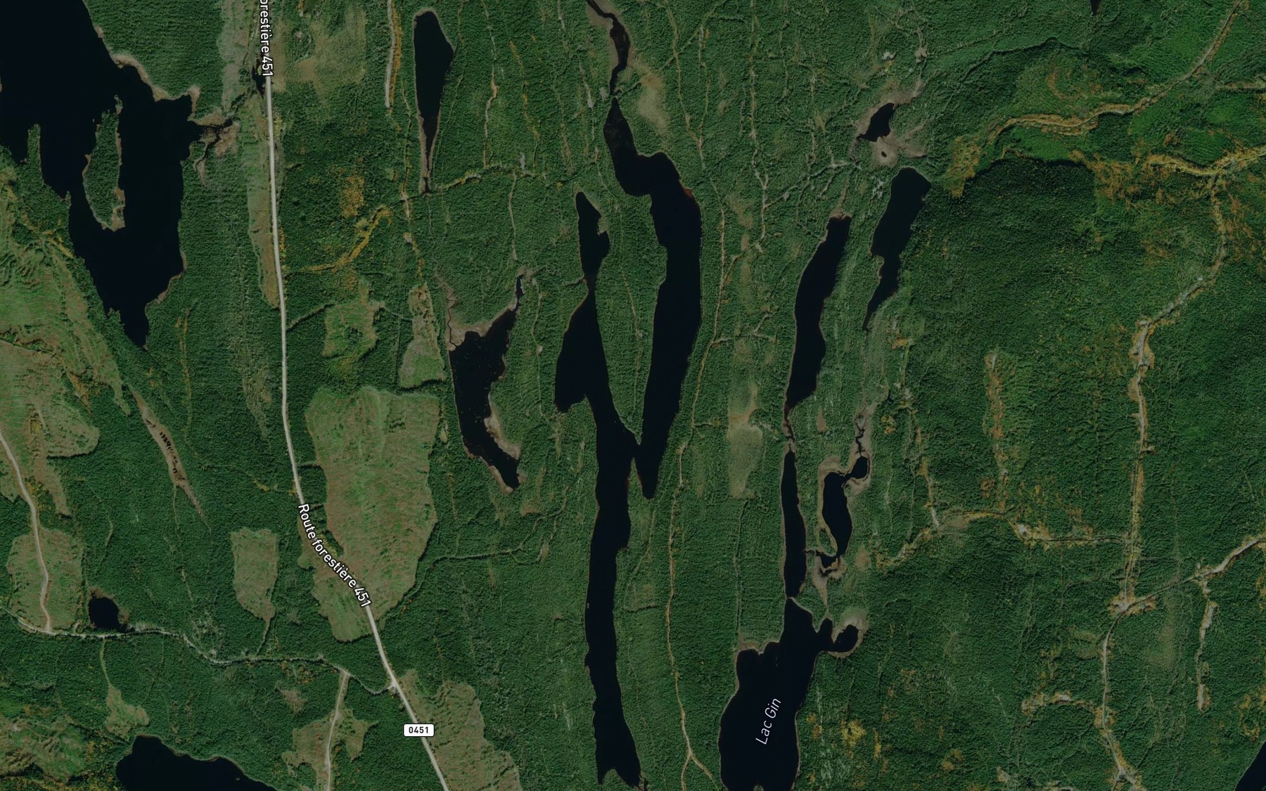 Satellite map of the Lac John