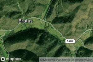 Wiles Branch