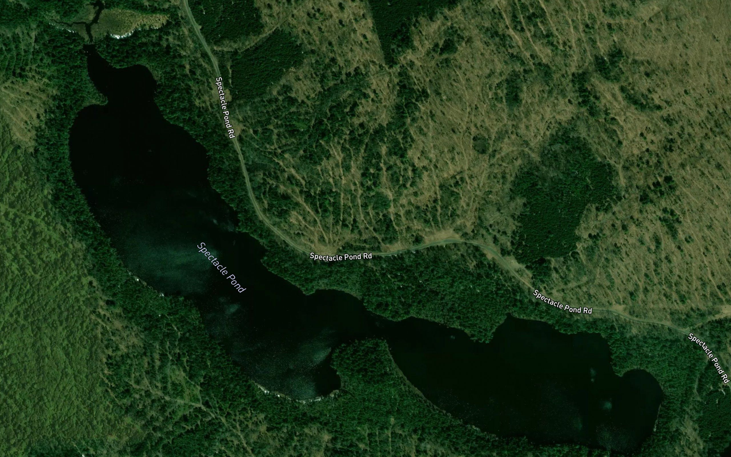 Spectacle Pond