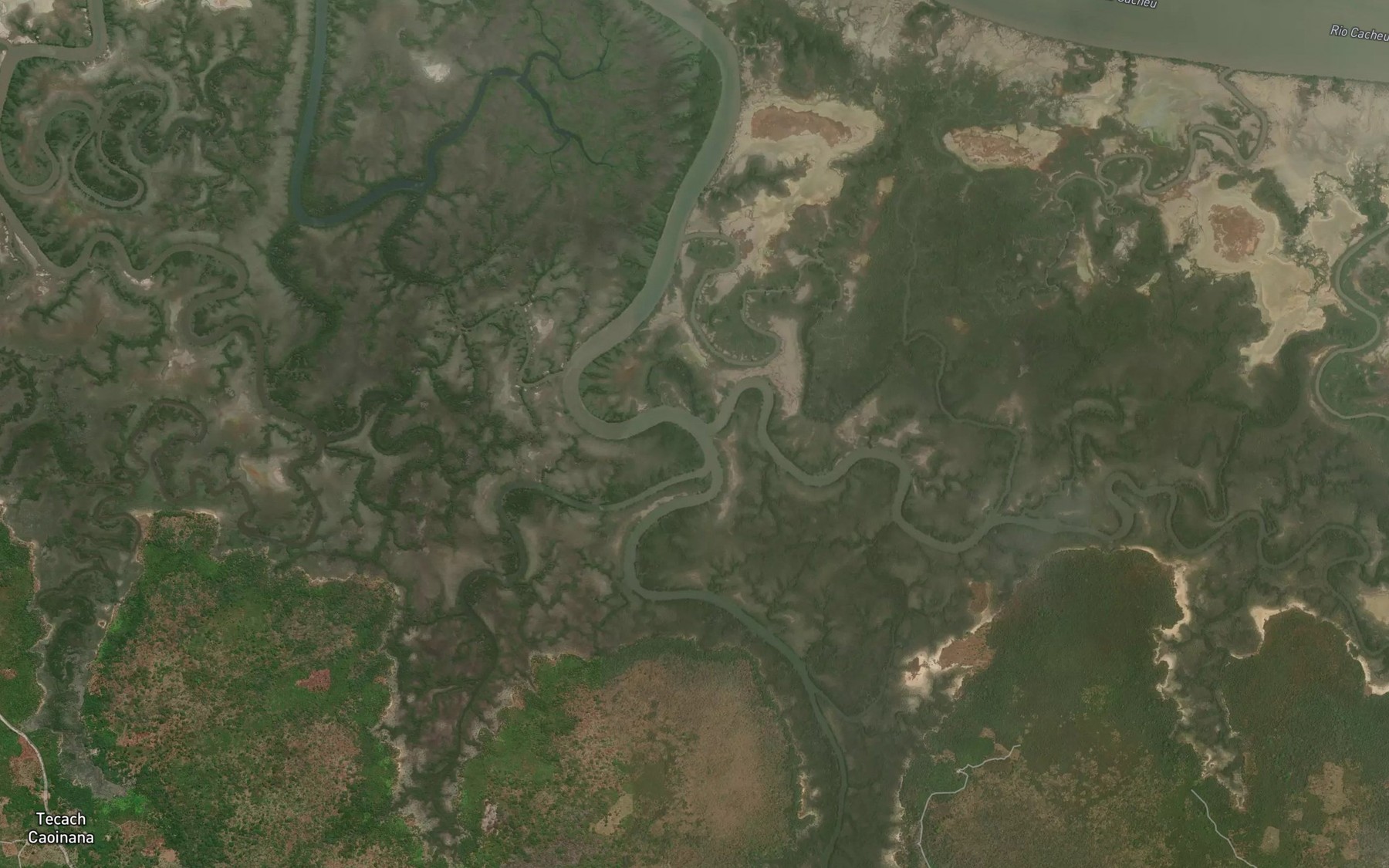 Satellite map of the Rio de Caguepe