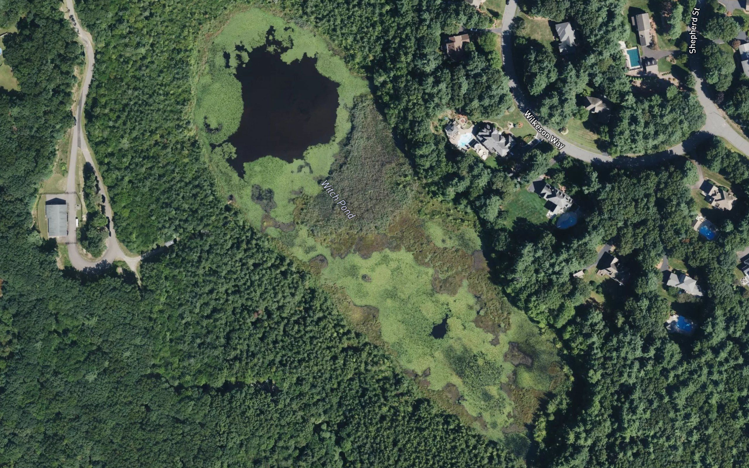 Witch Pond