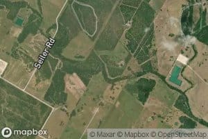 Boggy Branch