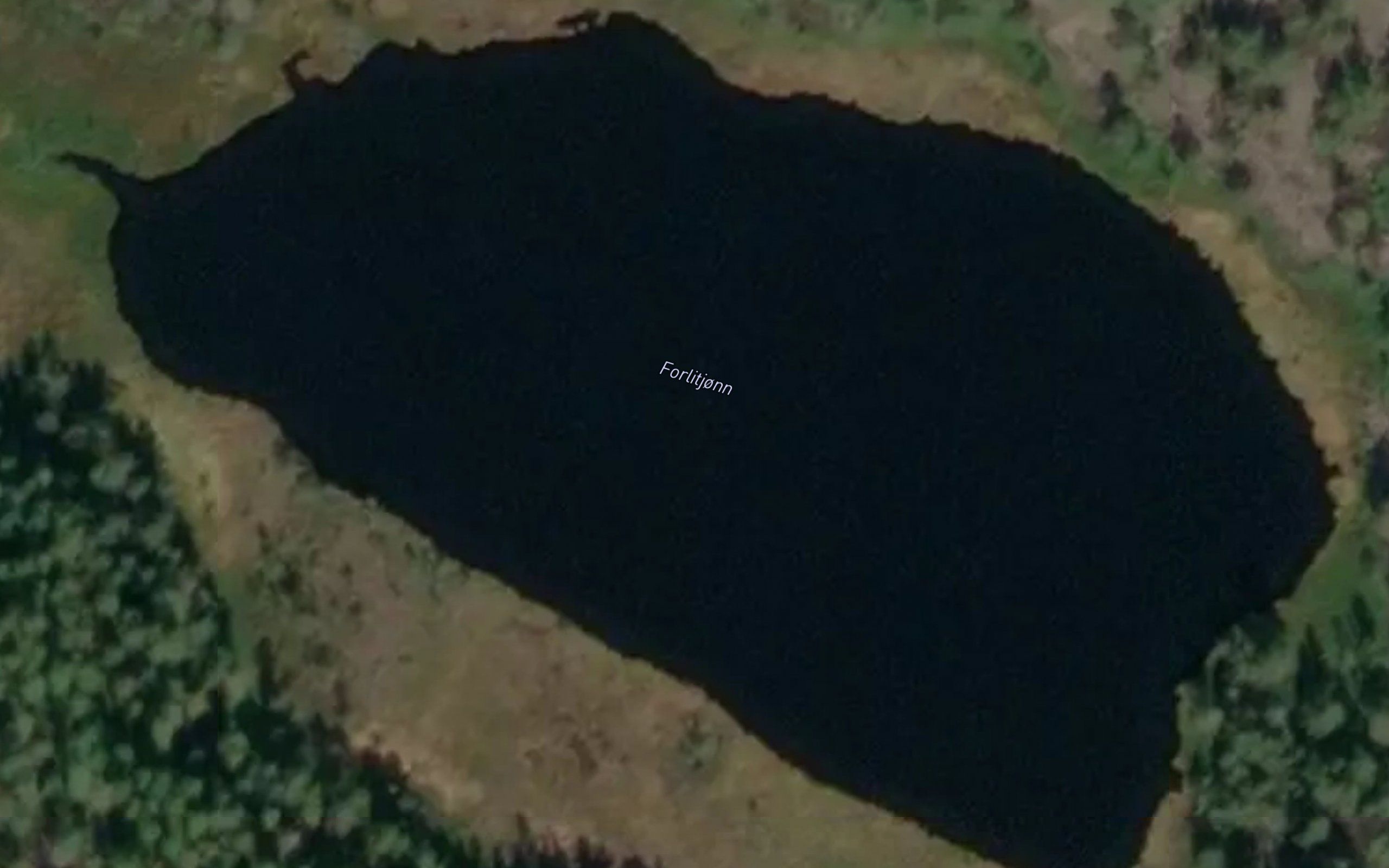 Farlitjorn