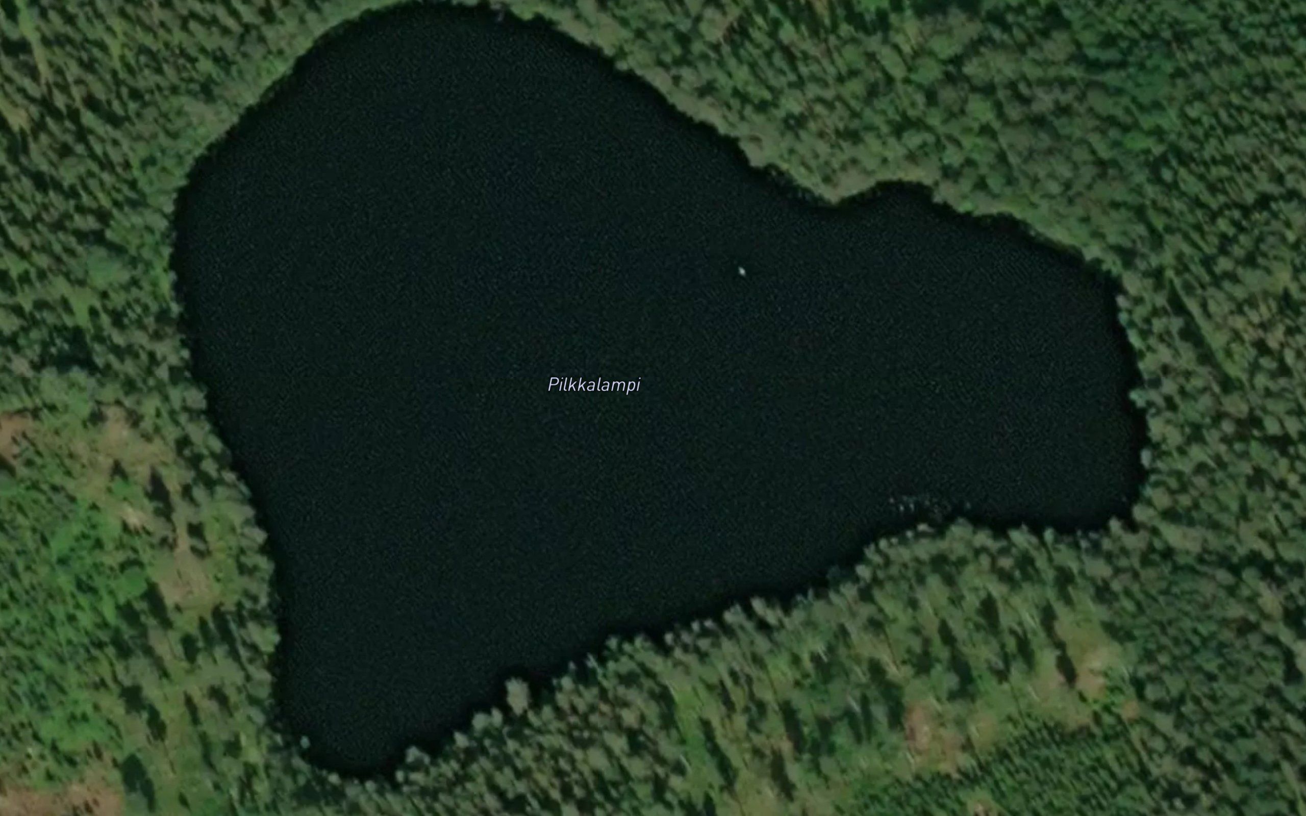 Pilkkalampi