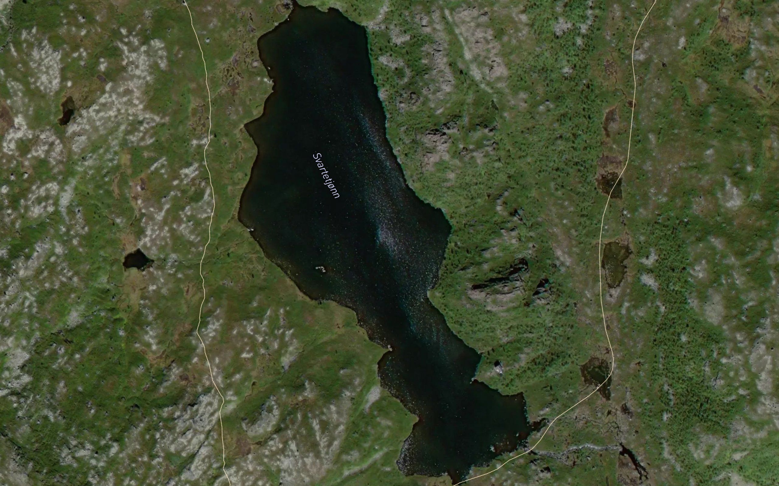 Svartetjonn