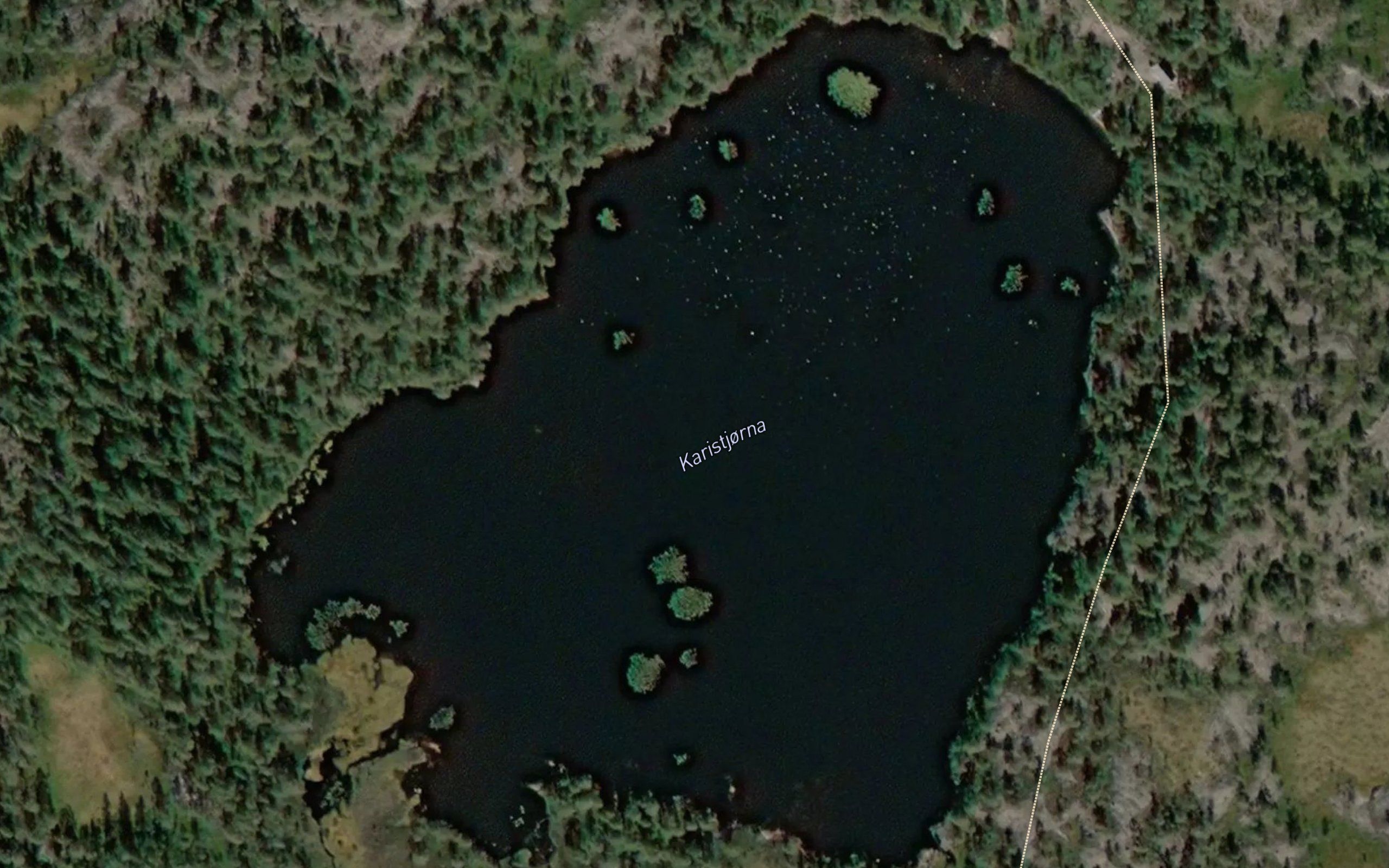Karistjorna