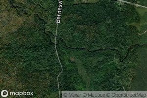 Barnes Brook