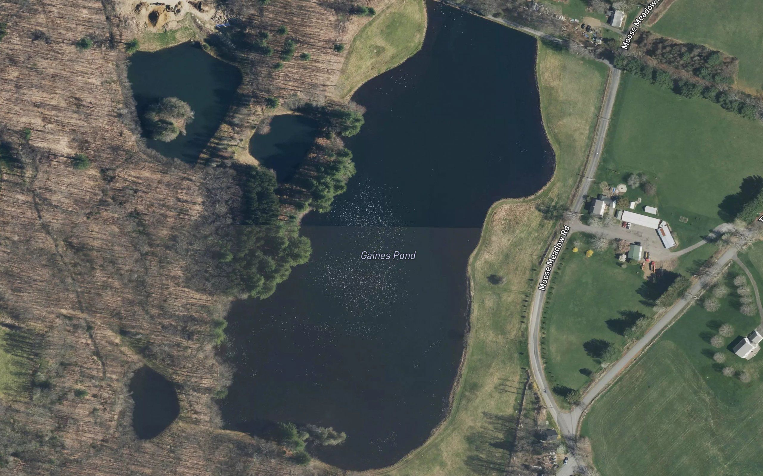 Gaines Pond