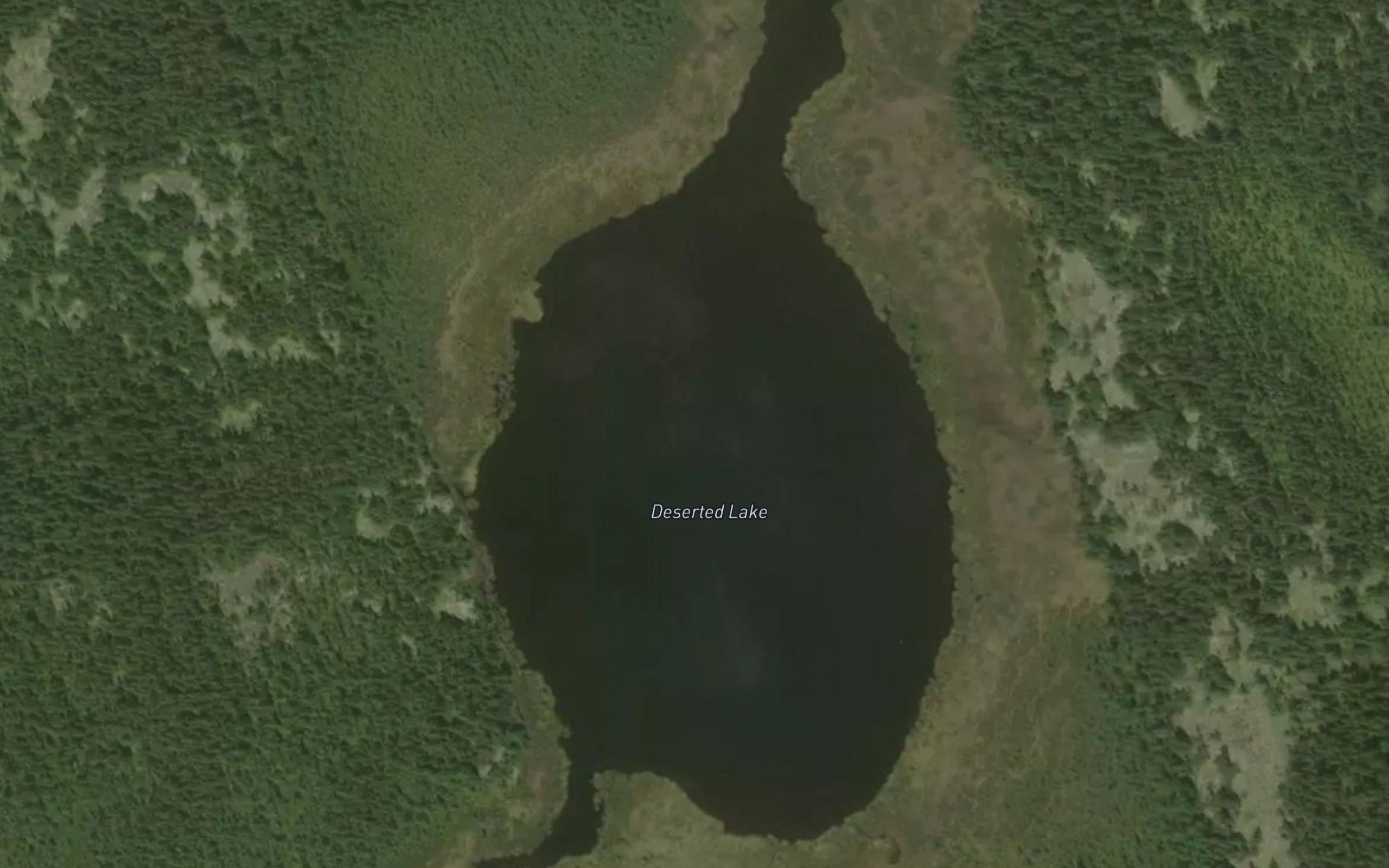 Deserted Lake