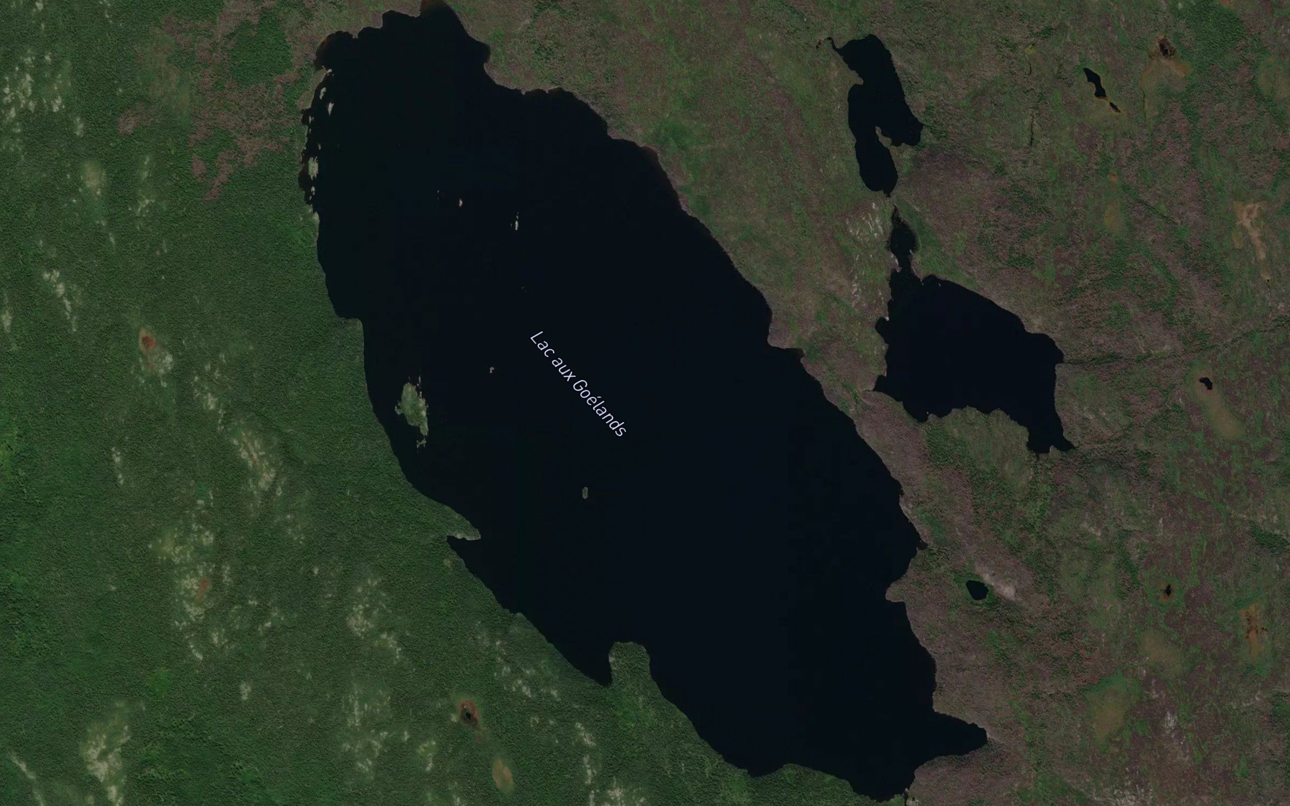 Lac aux Goelands