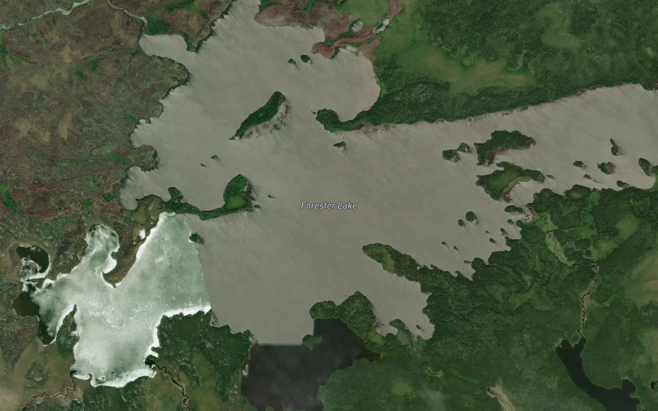 Forester Lake