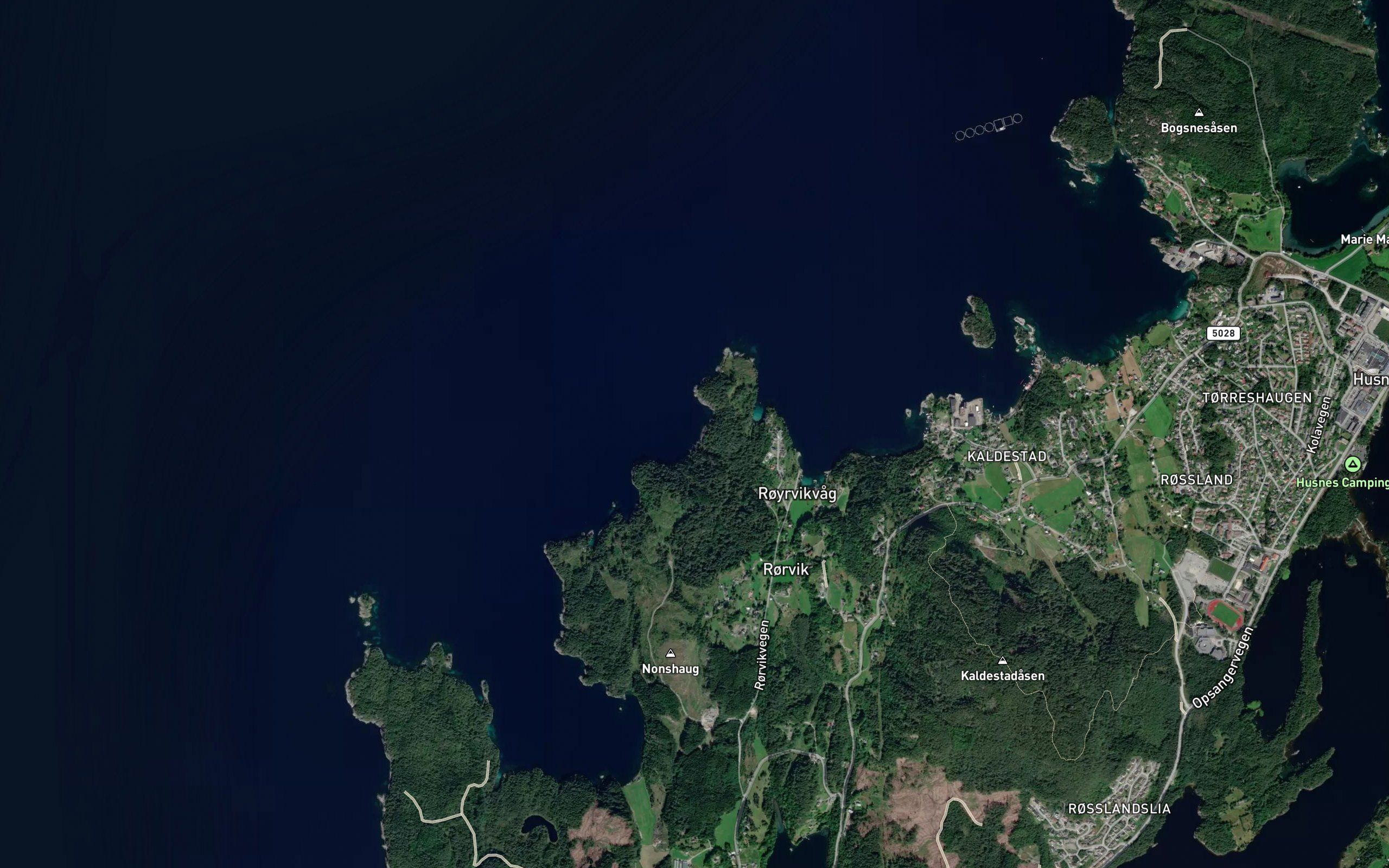 Kongsteinvika