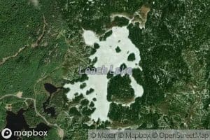 Leach Lake