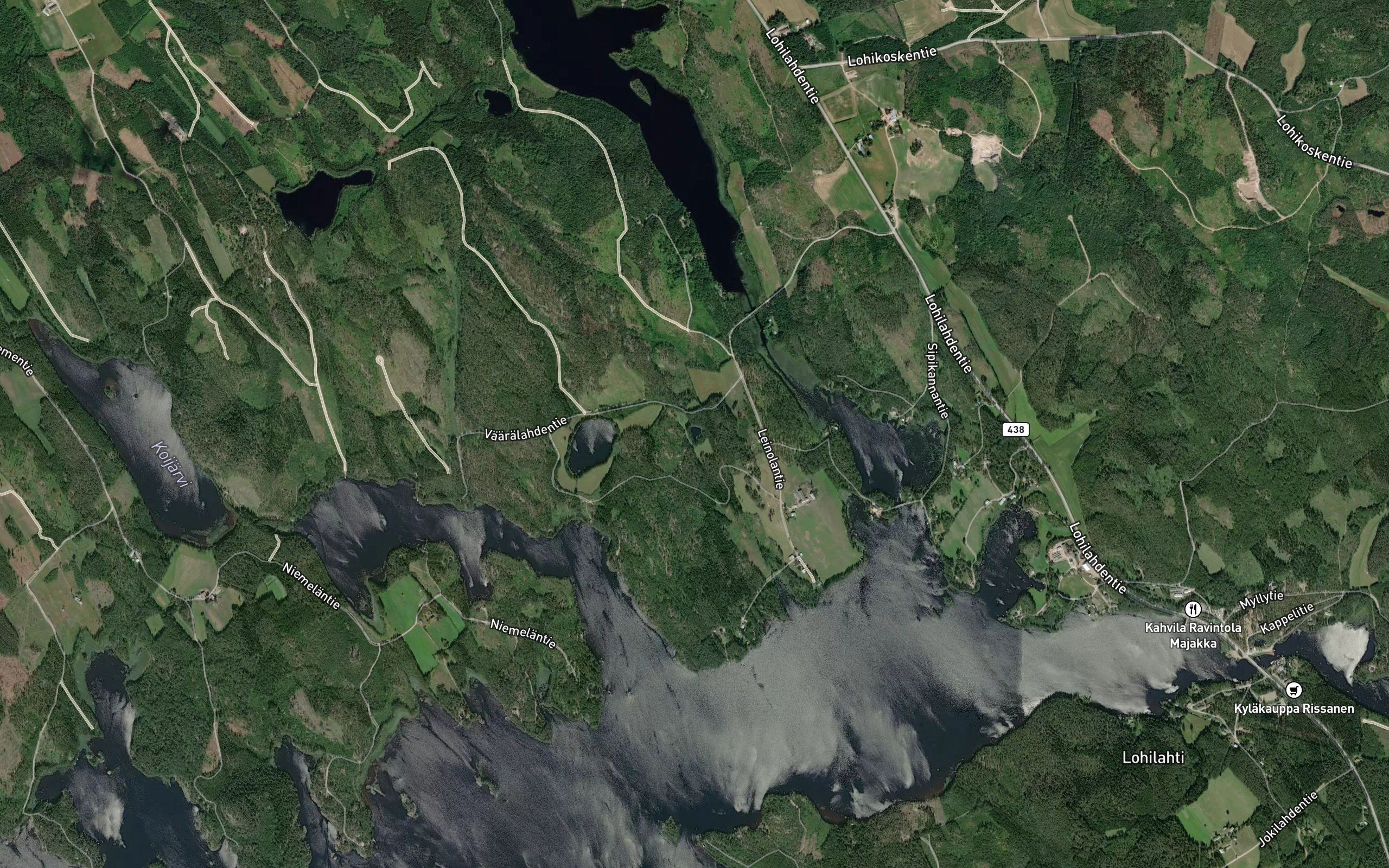 Koirlampi
