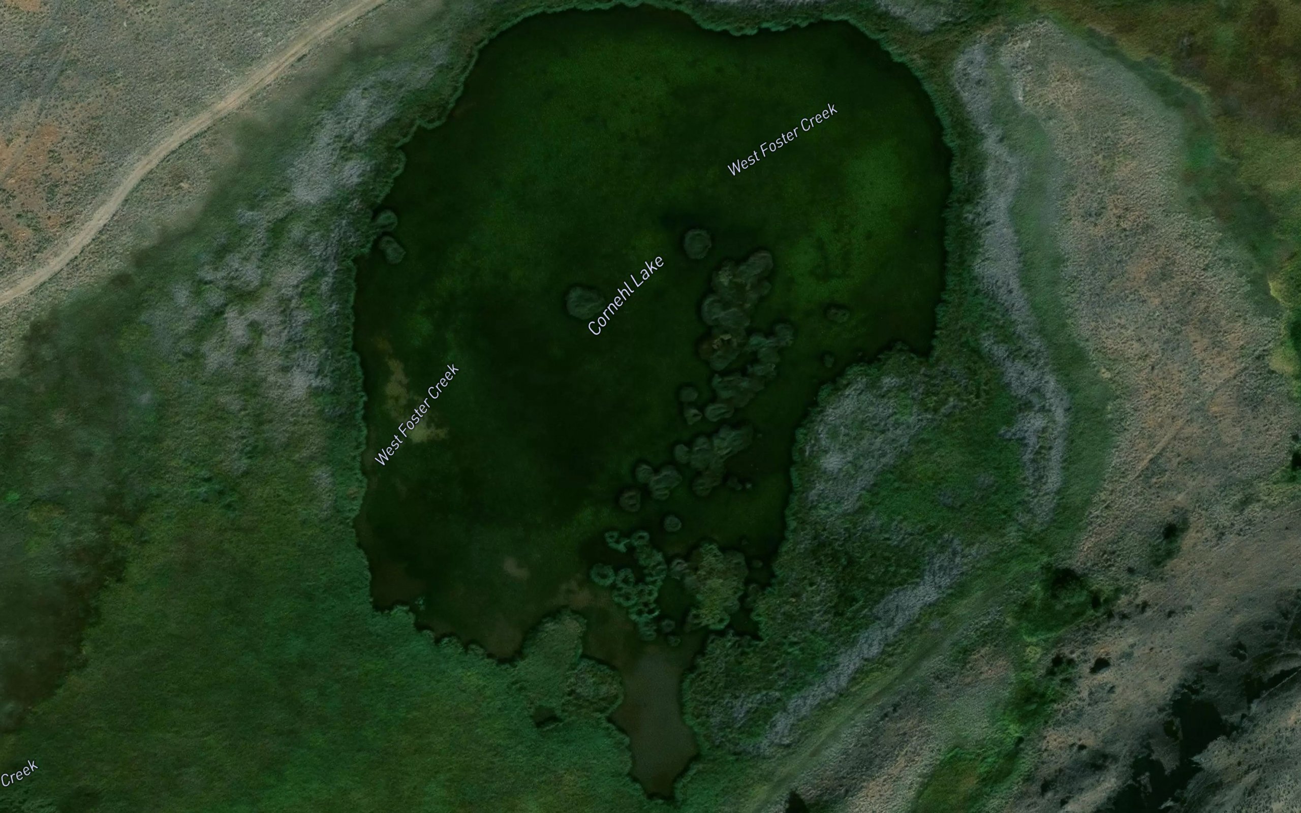 Cornehl Lake