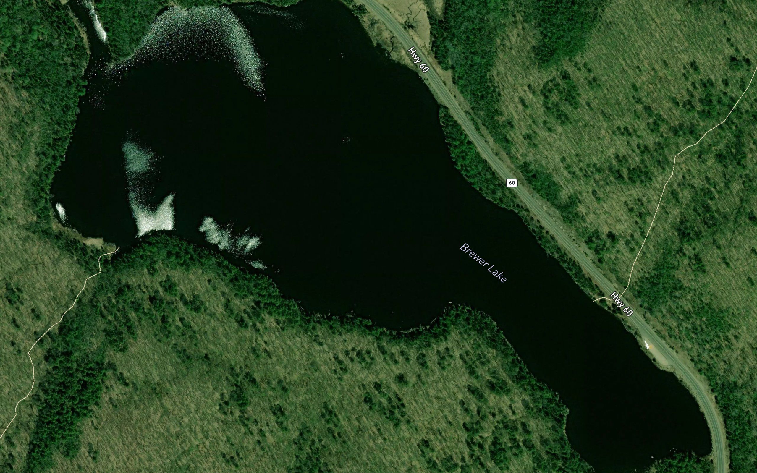 Brewer Lake