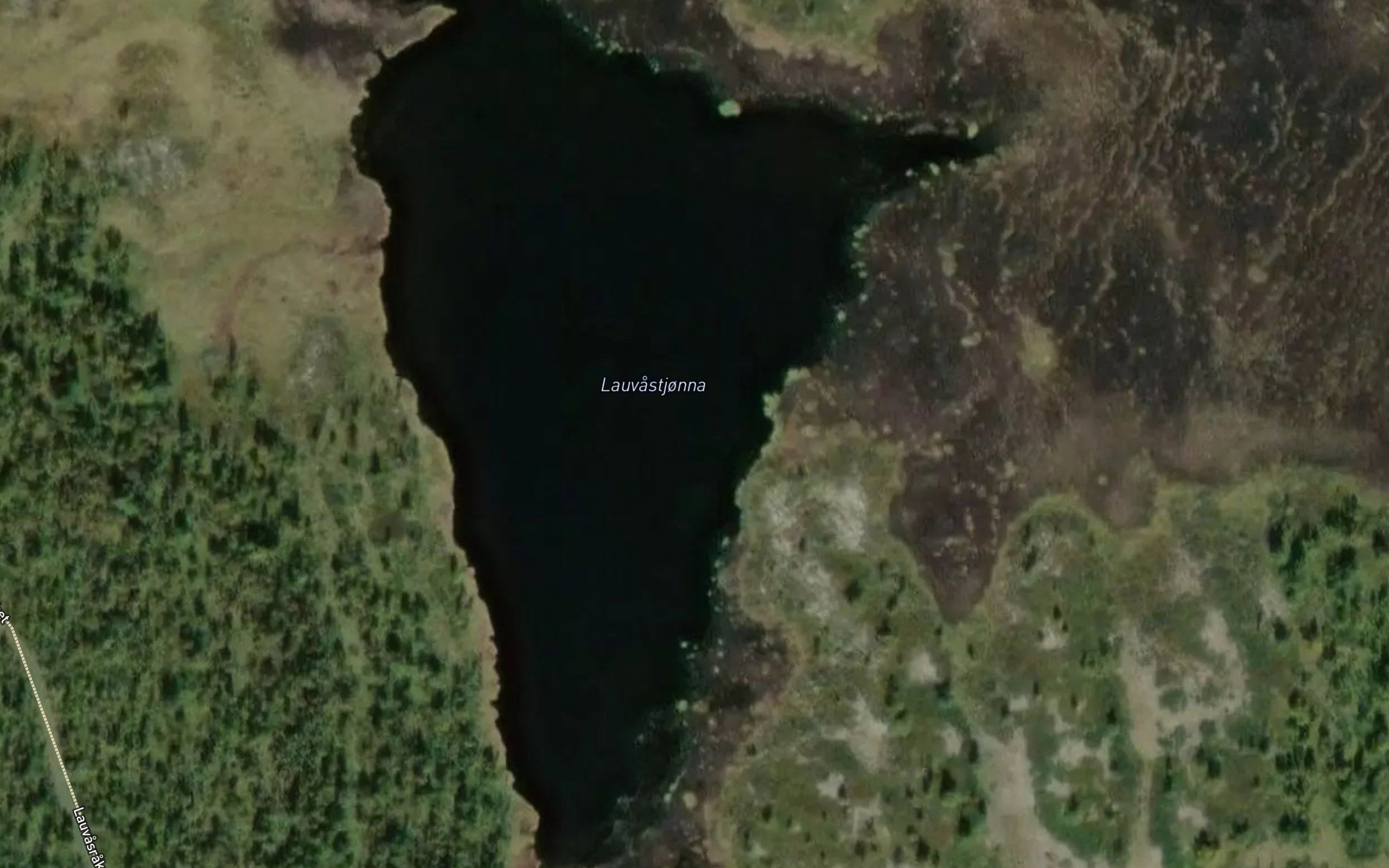 Lauvastjorna