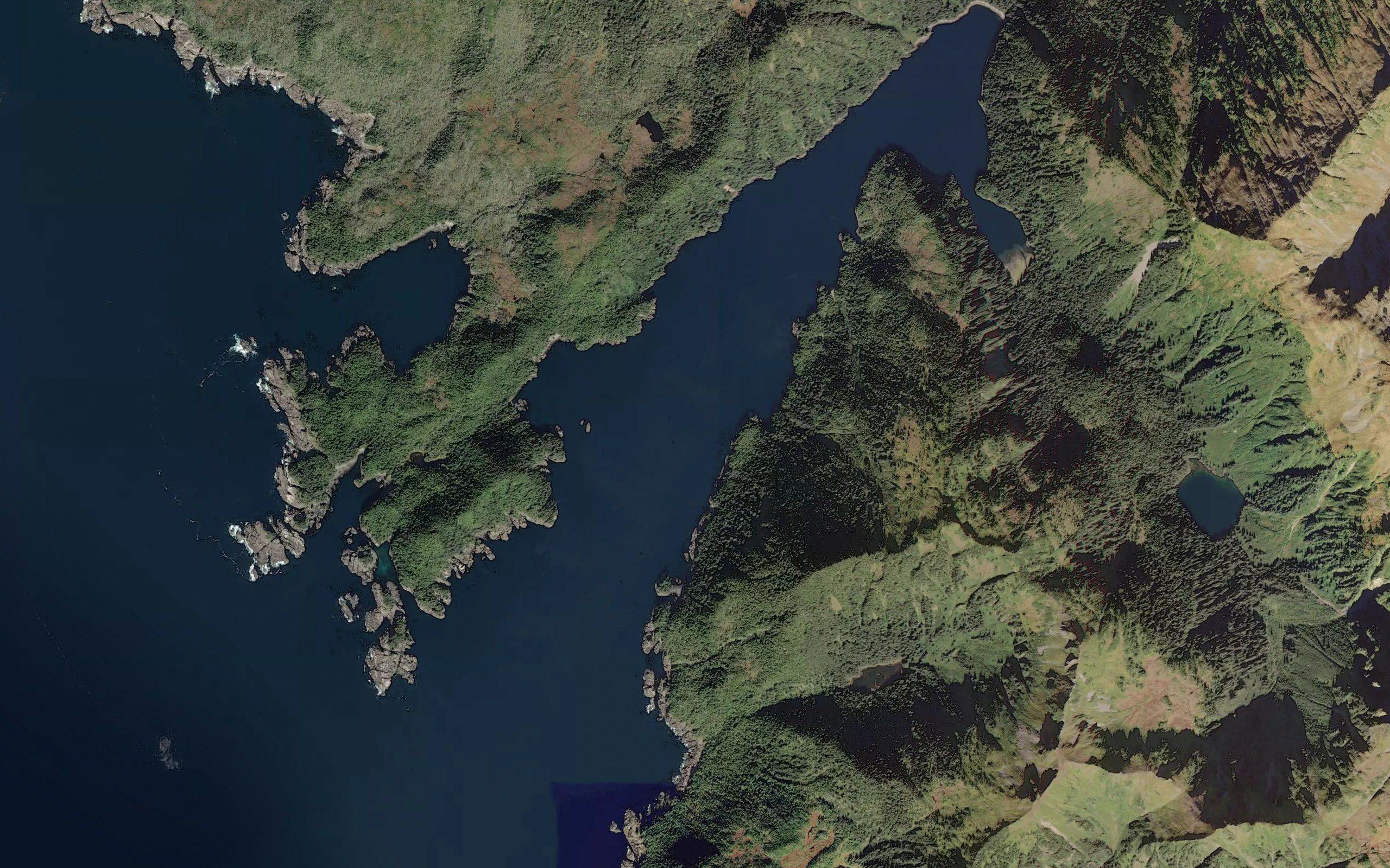 Puffin Bay