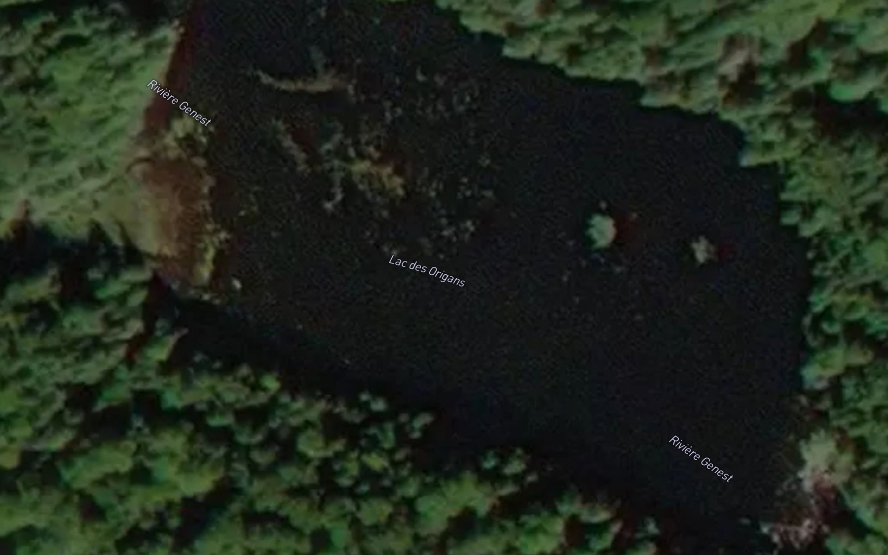 Satellite map of the Lac des Origans