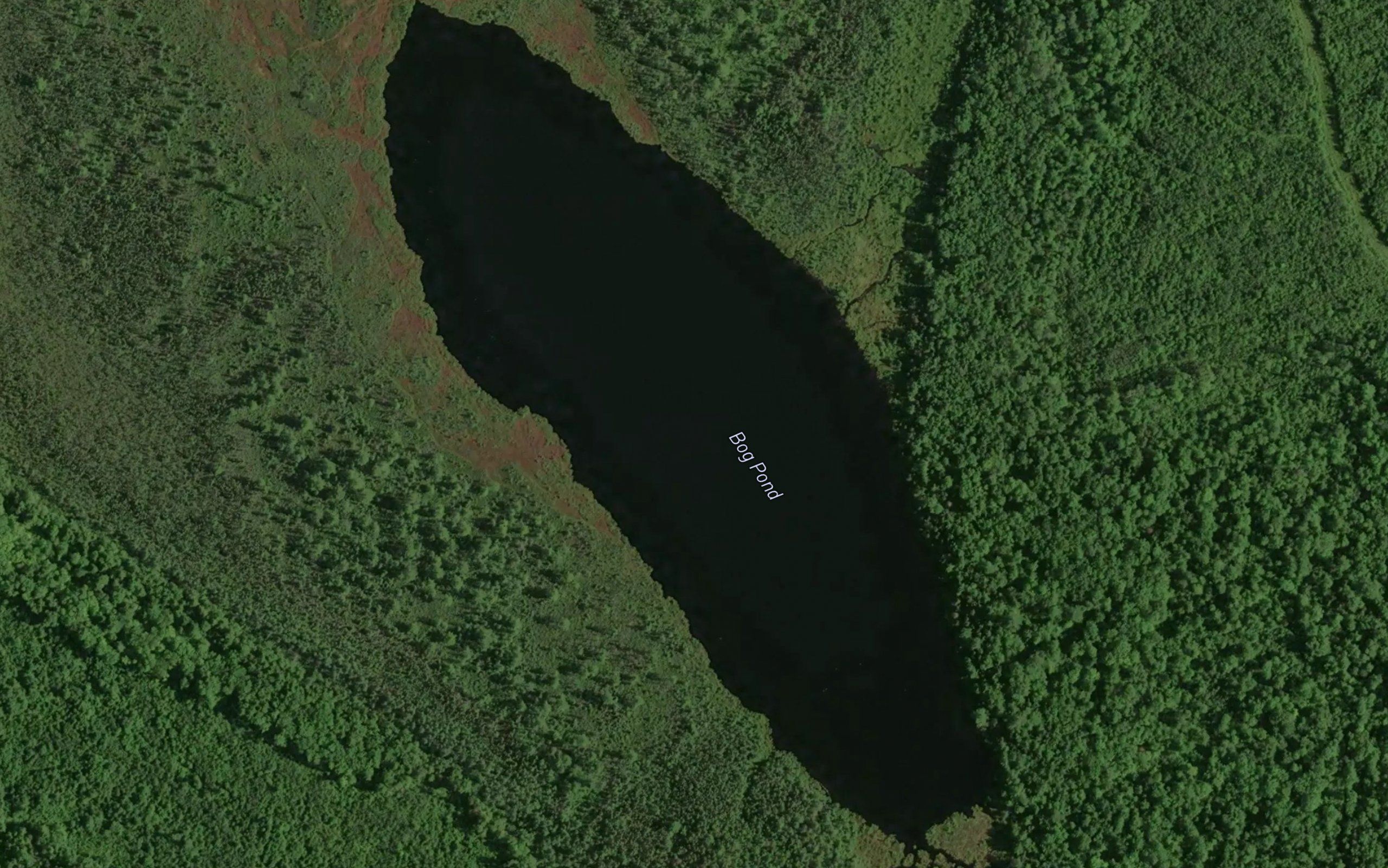 Bog Pond