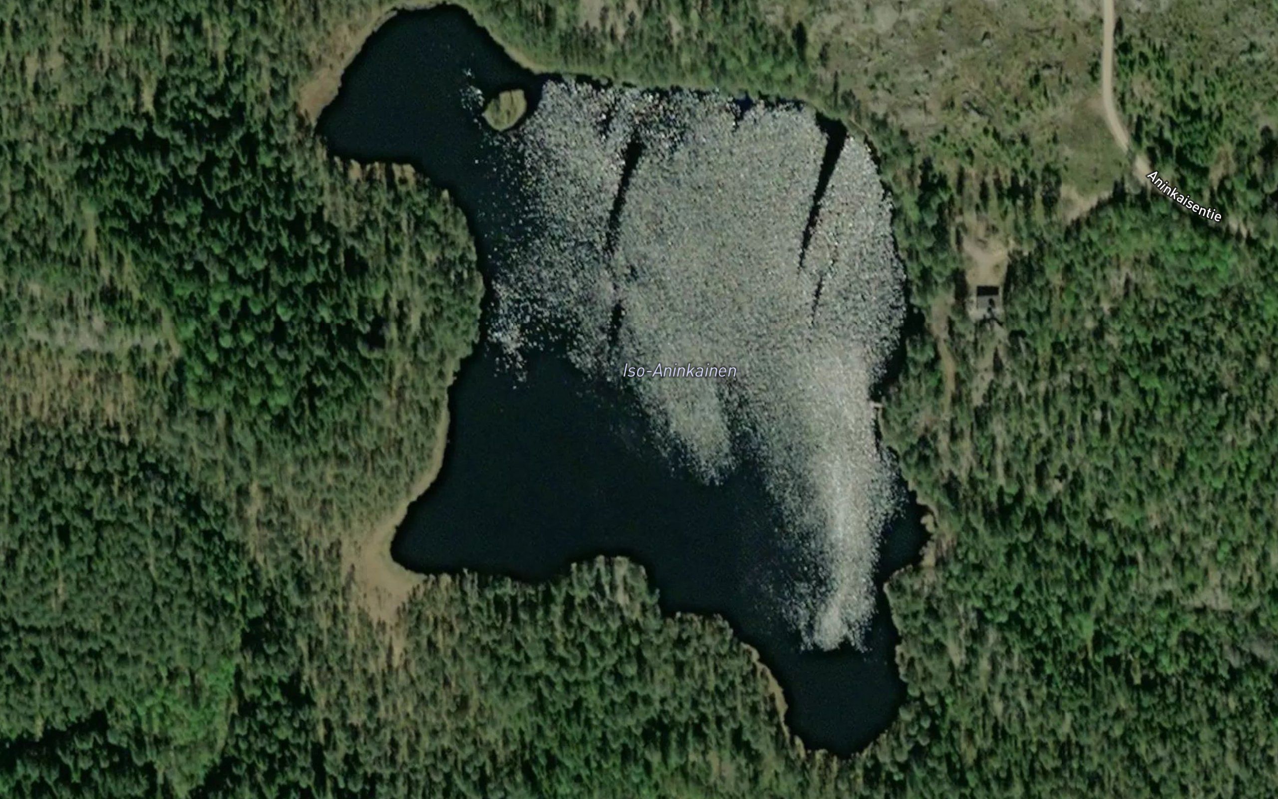 Iso-Aninkainen
