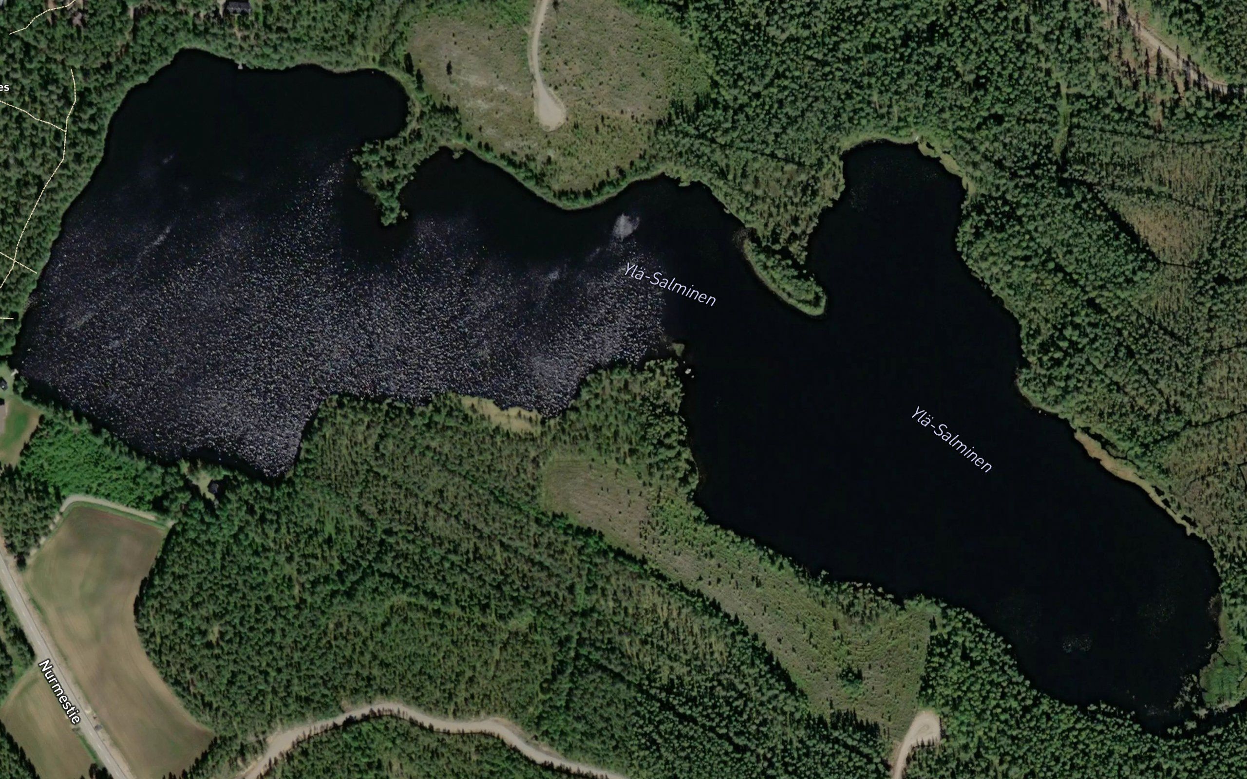 Yla-Salminen